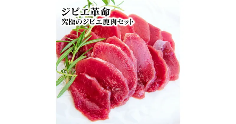 【ふるさと納税】ジビエ革命〜究極のジビエ　鹿肉セット