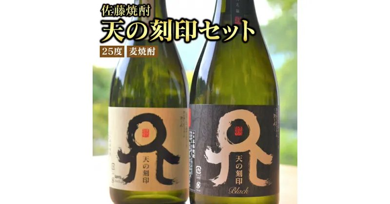 【ふるさと納税】佐藤焼酎　麦焼酎　天の刻印セット　720ml×2本　贈り物　父の日　誕生日　お祝い　贈答用　宮崎県延岡市　送料無料