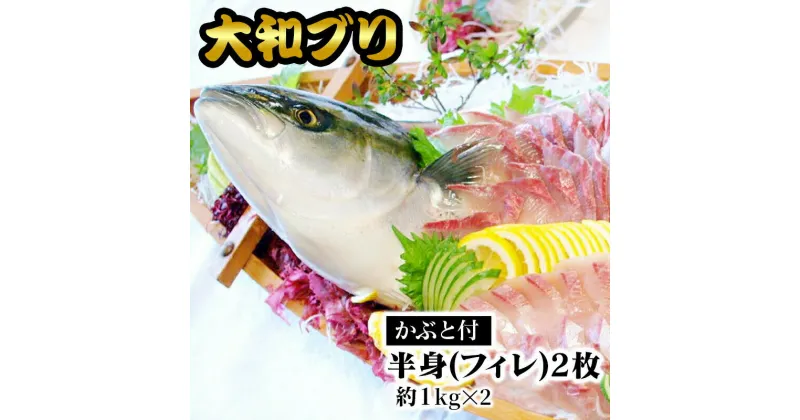 【ふるさと納税】【大和ブリ】半身（フィレ）約1kg×2枚　かぶと付き　カルパッチョ　旬　国産　宮崎県延岡市　送料無料 C902