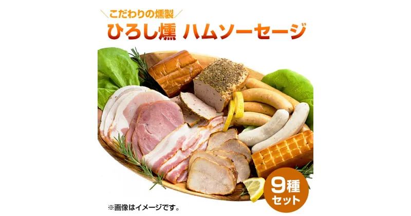 【ふるさと納税】【齋藤精肉店】こだわりの燻製　ひろし燻　ハム・ソーセージ9種セット　国産 宮崎県延岡市 冷凍 送料無料