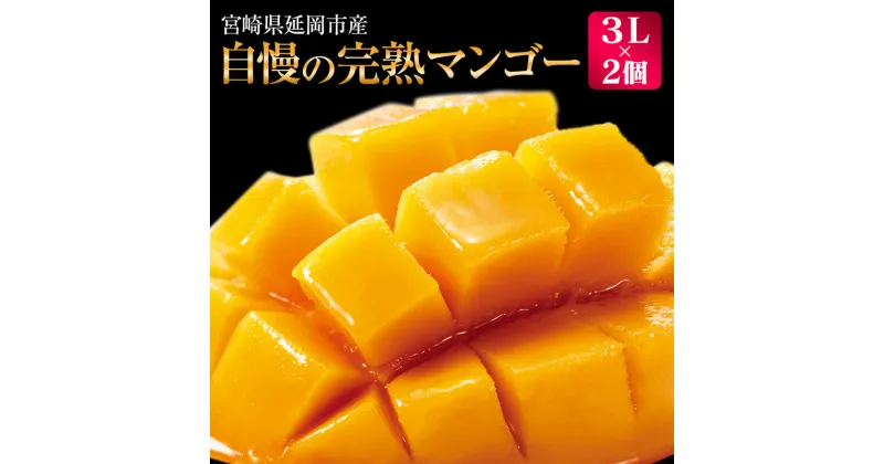 【ふるさと納税】【先行予約】宮崎県延岡市産　自慢の「完熟マンゴー」　3L×2個（2025年5月上旬頃から発送開始）