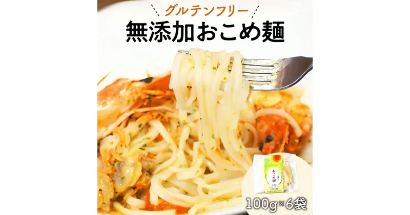 【ふるさと納税】【グルテンフリー】無添加おこめ麺　100g×6袋（A030）米粉麺　パスタ　うどん　　宮崎県延岡市　送料無料