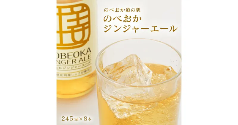 【ふるさと納税】ジンジャーエール のべおか 245ml 8本 道の駅 北川はゆま オリジナル すっきり さわやか 瓶 飲み物 ドリンク 炭酸 飲料 炭酸飲料 ジュース ソフトドリンク 宮崎県 延岡市 お取り寄せ 送料無料