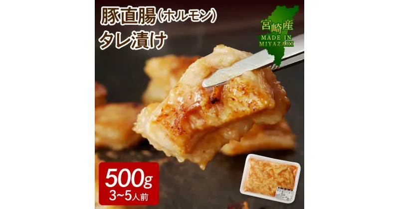 【ふるさと納税】【宮崎産】豚直腸（ホルモン） タレ漬け 500g （3〜5人前）（A070）国産 宮崎県延岡市 冷凍 ギフト 送料無料