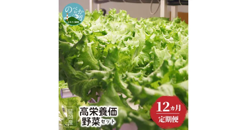 【ふるさと納税】延岡産 高栄養価野菜 セット 12回 定期便