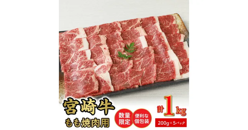 【ふるさと納税】数量限定 便利 個包装 宮崎牛 もも 焼肉用 200g×5パック計1kg