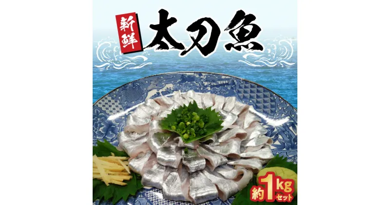 【ふるさと納税】2024年10月発送開始 新鮮 太刀魚 約 1kg セット とれたて 新鮮 下処理済み 切り身 タチウオ 冷凍 美味しい お刺身 焼き魚 唐揚げ 天ぷら グルメ 食品 魚 海鮮 魚介類 海の幸 大和海商 宮崎県 延岡市 お取り寄せ お取り寄せグルメ 送料無料