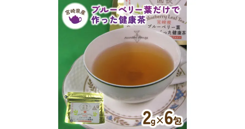 【ふるさと納税】健康茶 ブルーベリー 葉だけで作った お茶 2g×6包 ティーバッグ ポリフェノール ノンカフェイン 国産 宮崎県産 九州 延岡市 爽やかな酸味 茶 飲料 お取り寄せ お土産 お手軽 便利 送料無料