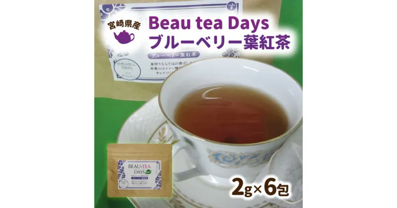 【ふるさと納税】紅茶 ブルーベリー 2g × 6包 ノンカフェイン BeauteaDays 爽やか 健康茶 ブルーベリー葉 植物茶 酸味 ポリフェノール 飲料 新健康茶 釜炒り スローライフトゥ ⻲⻑茶園 お取り寄せ 国産 九州 宮崎県 延岡市 常温 送料無料