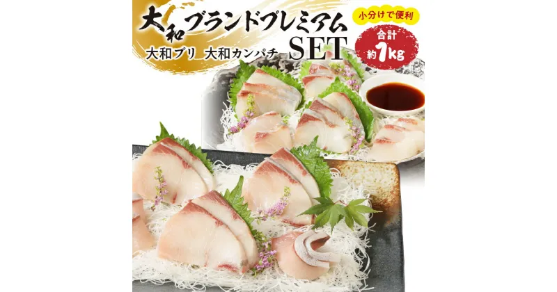 【ふるさと納税】大和ブランドプレミアムSET ブリ カンパチ 約1kg 小分け 刺身 ブロック 食品 海の幸 魚介類 グルメ 冷凍 真空パック 大和海商 宮崎県 延岡市 お取り寄せ 送料無料