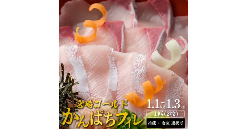 【ふるさと納税】宮崎産 新海屋 鰤屋金太郎 みやざきゴールドカンパチ フィレ 1.1kg〜1.3kg1匹（2枚） 冷蔵 ・ 冷凍 選択可