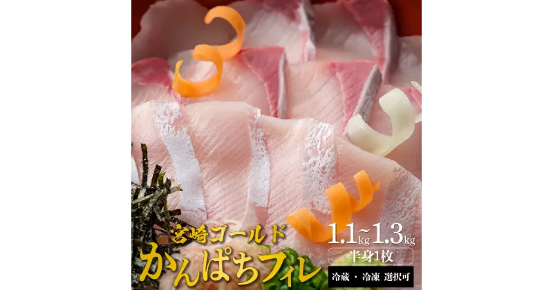 【ふるさと納税】宮崎産 新海屋 鰤屋金太郎 みやざきゴールド かんぱち フィレ 1.1kg〜1.3kg半身1枚 刺身 冷蔵 ・ 冷凍 選択可