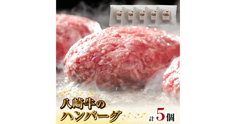 【ふるさと納税】八崎牛 ハンバーグ 約 120g × 5 無添加 国産 旨味 肉汁 黒毛和牛 和牛 グルメ 惣菜 おかず ご飯のお供 加工品 食品 肉 冷凍 宮崎県 延岡市 鏡山牧場 お取り寄せ お取り寄せグルメ 送料無料