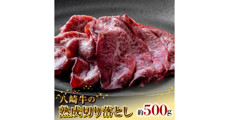 【ふるさと納税】八崎牛切り落とし 約500g 自然放牧黒毛和牛 熟成 牛肉 牛 黒毛和牛 グラスフェッドビーフ 放牧牛 赤身 国産 炒め物 冷凍 鏡山牧場 宮崎県 延岡市 お取り寄せ お取り寄せグルメ 送料無料