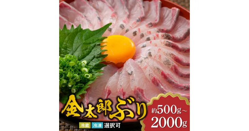 【ふるさと納税】宮崎産 金太郎ぶり 選べる 内容量 500g ～ 2000g 新海屋 鰤屋金太郎 スキンレスロイン 冷蔵 冷凍 選択可 国産 鰤 刺身 魚 照り焼き ぶり大根 ぶりしゃぶ 海鮮丼 料理に おつまみ 鮮魚 食品 宮崎県 延岡市 お取り寄せ 送料無料