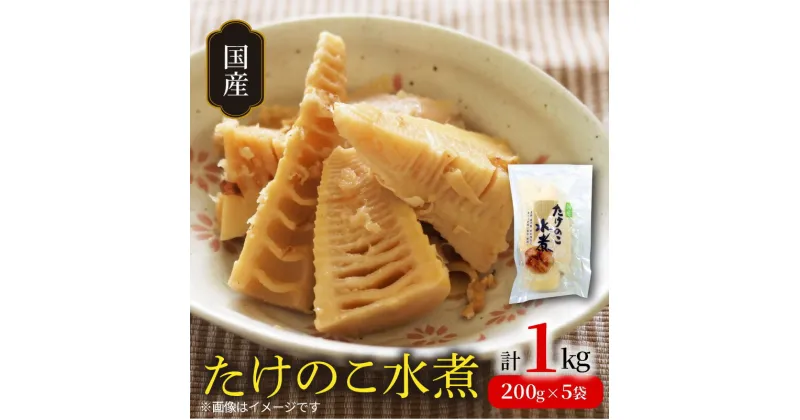 【ふるさと納税】国産 たけのこ 水煮 200g × 5 合計 1kg 小分け パック 簡単調理 常温 グルメ 食品 食べ物 野菜 山の幸 山菜 株式会社大久保商店 宮崎県 延岡市 お取り寄せ 送料無料