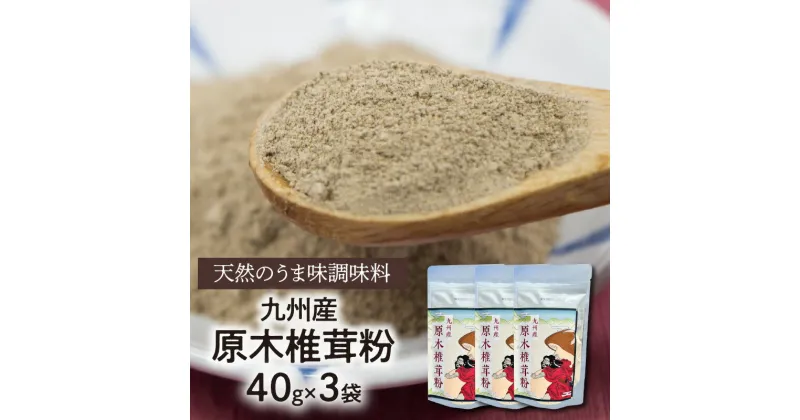 【ふるさと納税】調味料 計120g 干ししいたけ 粉末 小分け 国産 九州産 原木椎茸 天然 味の素 40g×3袋 パウダー グアニル酸 味噌汁 焼肉 パスタ マヨネーズ ケチャップ ドレッシング かけるだけ 延岡市 お取り寄せ 食品 常温 送料無料