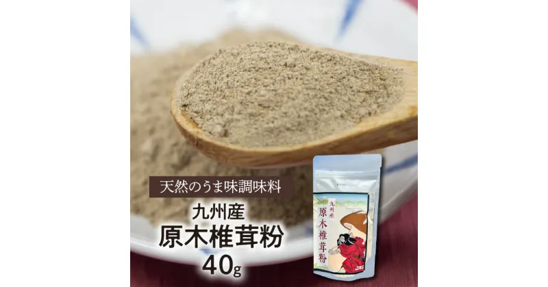 【ふるさと納税】調味料 40g 干ししいたけ 粉末 国産 九州産 原木椎茸 天然 味の素 40g 1袋 パウダー グアニル酸 味噌汁 焼肉 パスタ マヨネーズ ケチャップ ドレッシング かけるだけ 延岡市 お取り寄せ 食品 常温 送料無料