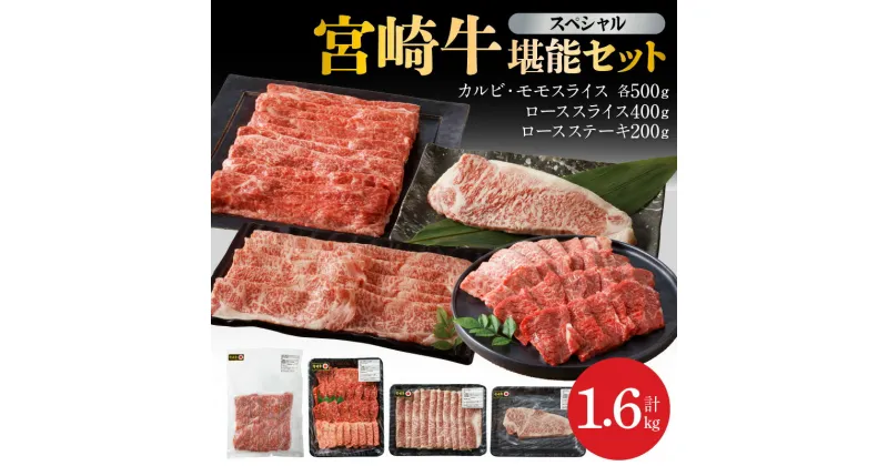 【ふるさと納税】宮崎牛 計 1.6kg 牛肉 スペシャル 堪能 セット 小分け カルビ モモスライス ローススライス ロースステーキ 焼肉 しゃぶしゃぶ すき焼き ステーキ 宮崎県 延岡市 お取り寄せ お取り寄せグルメ 肉 ごはんのおとも 冷凍 送料無料