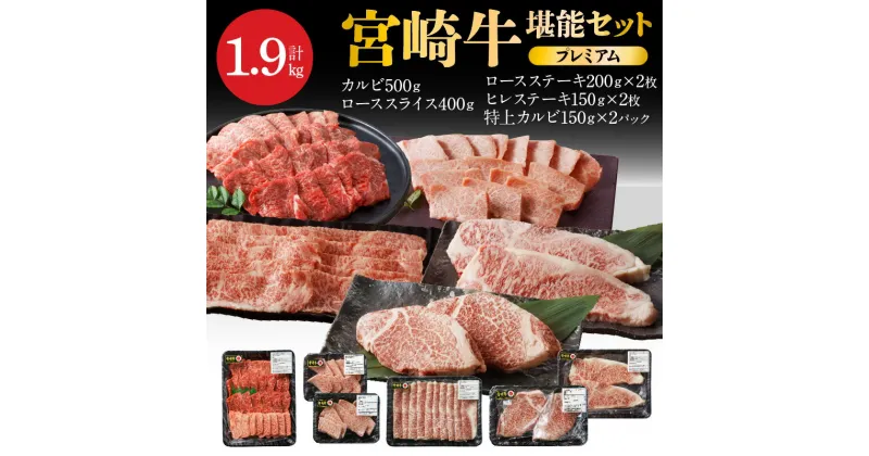 【ふるさと納税】宮崎牛 計 1.9kg 牛肉 プレミアム 堪能 セット 小分け カルビ 特上カルビ ローススライス ロースステーキ ヒレステーキ 焼肉 しゃぶしゃぶ すき焼き ステーキ 宮崎県 延岡市 お取り寄せ お取り寄せグルメ 肉 ごはんのおとも 冷凍 送料無料