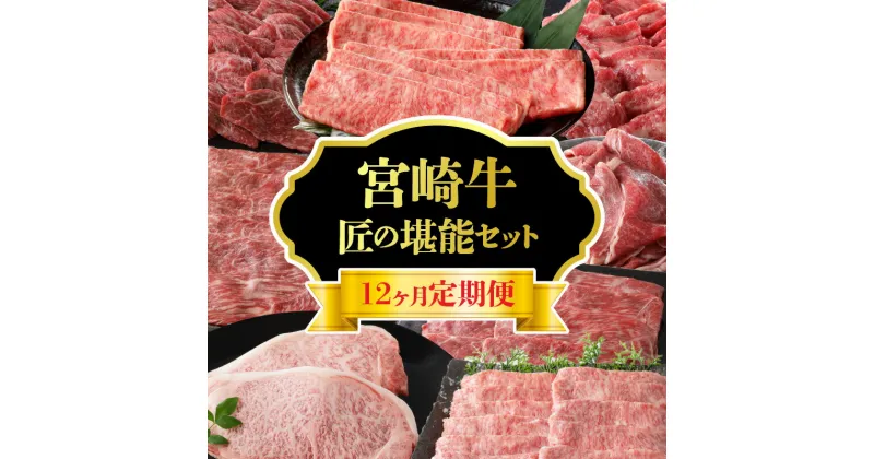 【ふるさと納税】 定期便 12ヶ月 宮崎牛 匠の堪能セット 切り落とし しゃぶしゃぶ カルビ 赤身 焼肉 ステーキ ロース スライス 肉じゃが 牛丼 肉巻き すき焼き 冷凍 厳選部位 お取り寄せ お取り寄せグルメ 送料無料