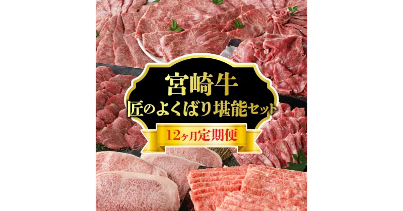 【ふるさと納税】 定期便 12ヶ月 宮崎牛 匠のよくばり堪能セット 切り落とし しゃぶしゃぶ カルビ 赤身 焼肉 ステーキ ロース スライス 肉じゃが 牛丼 肉巻き すき焼き 冷凍 厳選部位 お取り寄せ お取り寄せグルメ 送料無料