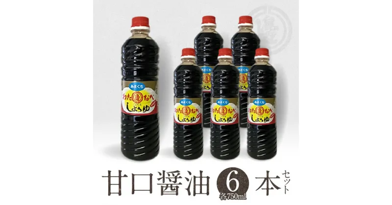 【ふるさと納税】醤油 九州醤油 750ml 6本 セット 計 4500ml 甘口 国産 九州産小麦 発酵 もろみ 2年醸造 延岡市 国産原料 調味料 加工品 大豆 加工品 渡邊味噌醤油醸造株式会社 お取り寄せ 宮崎県 送料無料