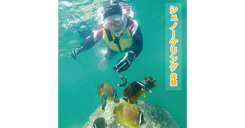 【ふるさと納税】浦城湾 シュノーケリング 体験 安心 安全 海 感動 熱帯魚 魚 海の中 ソフトコーラル テーブルサンゴ クマノミ アウトドア 大人 子供 友達 家族 初めて 経験 透明度が高い 波穏やか 宮崎県 延岡市