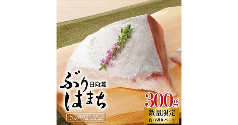 【ふるさと納税】数量限定 ぶり はまち 約 300g 3〜4人分 食べきりパック 養殖 うまみ極点製法 日向灘 お刺身 漬け丼 下処理いらず 袋から出して切るだけ ほどよい脂 宮崎県 延岡市 食品 食べ物 魚介類 水産加工品 送料無料 冷蔵