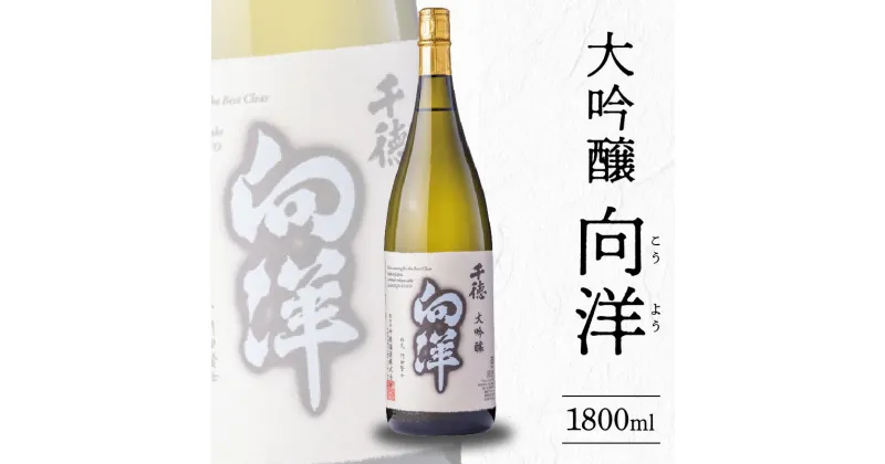 【ふるさと納税】酒 大吟醸 向洋 1800ml フルーティー 華やかな香り すっきり 淡麗 アルコール 千徳酒造 創業明治36年 創業100年以上 贈り物 ギフト 記念日 宮崎県 延岡市 お取り寄せ 飲料 送料無料