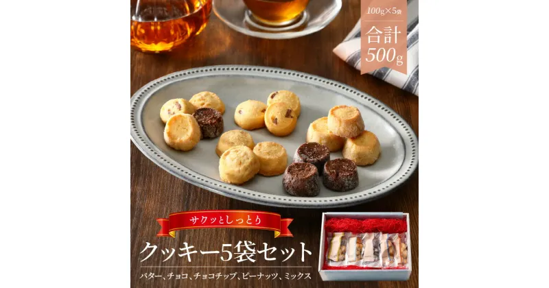 【ふるさと納税】クッキー サクッとしっとりクッキー 500g 小分け 5種類 1袋 100g おやつ 焼き菓子 洋菓子 お取り寄せスイーツ チョコ ピーナッツ バター ミックス しっとり 手土産 贈答 常温 宮崎県 延岡市 送料無料