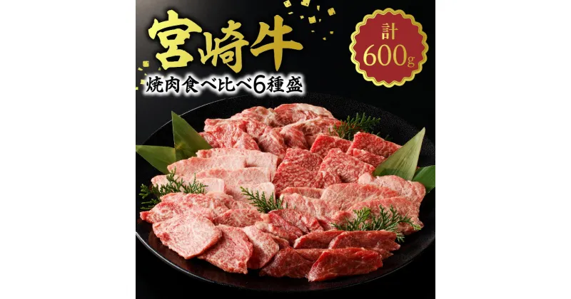 【ふるさと納税】牛肉 宮崎牛 焼肉 食べ比べ 6種盛 600g サーロイン リブ芯 トウガラシ カタ カルビ 中落カルビ 肉質等級 4等級以上 お肉 肉 国産 国産牛 和牛 食品 冷凍 バーベキュー お取り寄せ お取り寄せグルメ 宮崎県 延岡市 送料無料