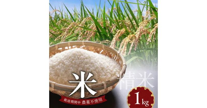 【ふるさと納税】米 1kg 精米 自家生産 栽培期間中 農薬 不使用 白米 自社生産 お米 ご飯 おにぎり おむすび お弁当 弁当 炊き込みご飯 食品 食べ物 瀧本農産 お取り寄せ お取り寄せグルメ 宮崎県 延岡市 送料無料