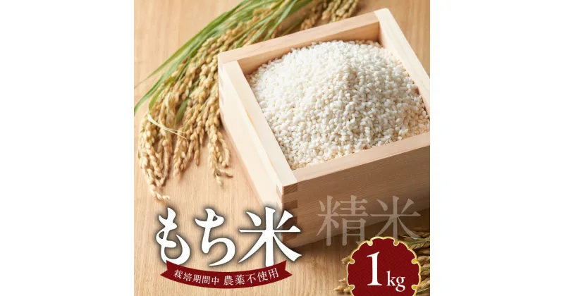 【ふるさと納税】もち米 1kg 自家生産 栽培期間中 農薬 不使用 自社生産 精米 食品 食べ物 お餅 お雑煮 おこわ だんご おはぎ 餅つき 赤飯 ちまき 炊き込みご飯 瀧本農産 お取り寄せ 宮崎県 延岡市 送料無料