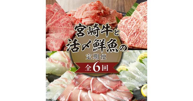 【ふるさと納税】宮崎牛と活〆鮮魚の豪華 6回 定期便 宮崎牛 A5等級 ブリ 真鯛 ヒラメ 活〆 鮮魚 魚介 牛肉 サーロインステーキ サーロイン ステーキ 小間切 焼肉 お刺身 半身 ロイン 国産 肉のマル誠 請関水産 九州 宮崎県 延岡市 お取り寄せ お取り寄せグルメ 送料無料