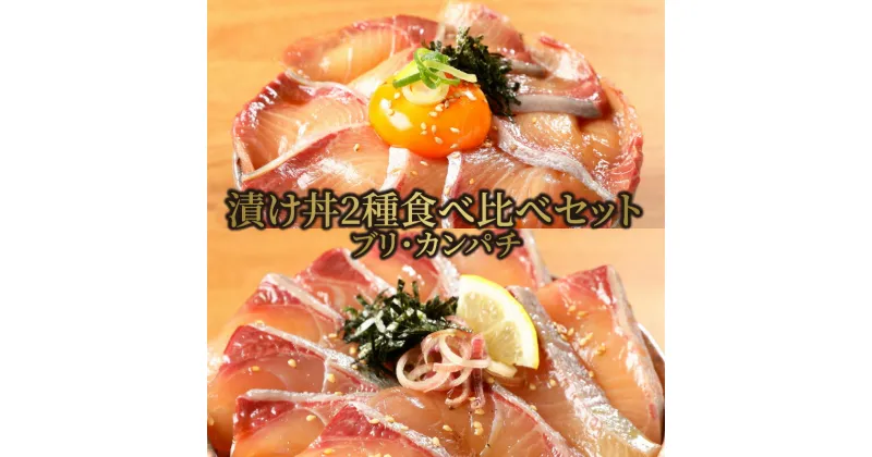 【ふるさと納税】漬け丼 2種 食べ比べ セット 日向灘 ブリ カンパチ 100g × 8袋 旬 請関水産 海鮮漬け丼 海鮮丼 小分け 解凍するだけ 時短 料理 簡単 おうちご飯 お取り寄せグルメ 魚介 冷凍 送料無料 食品 宮崎県 延岡市