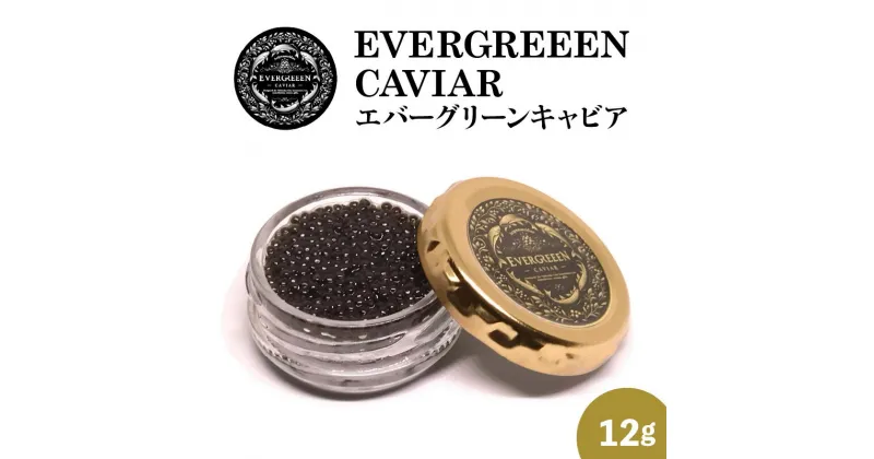 【ふるさと納税】宮崎県産 キャビア EVERGREEEN CAVIAR エバーグリーンキャビア 12g チョウザメ 国産 魚卵 おつまみ 贈り物 贈答品 お祝い 記念日 誕生日 高級グルメ お取り寄せグルメ 冷凍 宮崎県 延岡市 送料無料