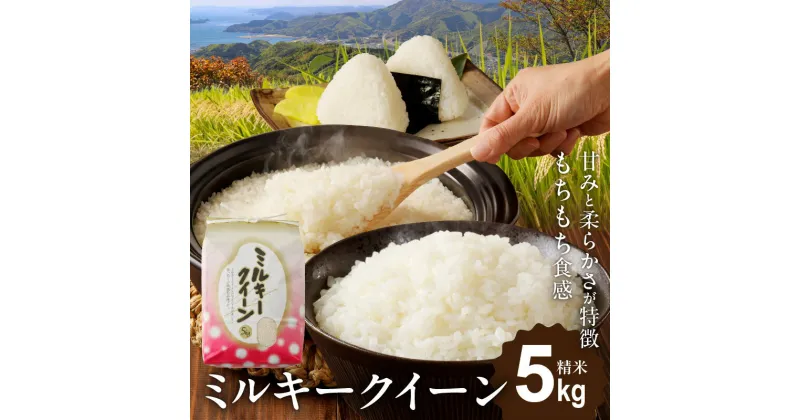 【ふるさと納税】お米 5kg ミルキークイーン 精米 1袋 輝き もちもち 食感 甘み 柔らかい 冷めても硬くなりにくい うるち米 白米 おにぎり ご飯 お弁当 和食 食品 宮崎県 延岡市 北浦町農業公社 お取り寄せ お取り寄せグルメ 送料無料