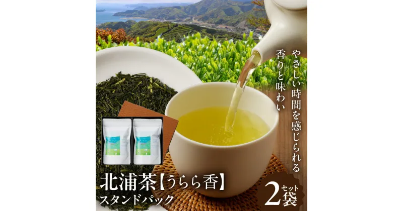 【ふるさと納税】北浦茶 お茶 100g × 2袋 セット 合計 200g うらら香 スタンドパック 香りと味わい 緑茶 日本茶 茶葉 贈答 贈り物 ギフト 飲み物 飲料 北浦町農業公社 お取り寄せ 宮崎県 延岡市 送料無料