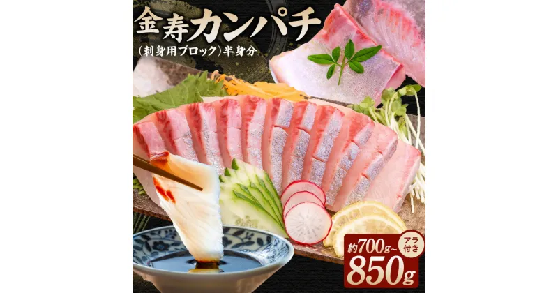 【ふるさと納税】金寿カンパチ 刺身用 ブロック 半身 約 700g ～ 850g アラ付き 魚 塩焼き 煮付け アラ汁 塩麹焼き お刺身 カルパッチョ 南蛮漬 料理 おつまみ 海鮮 海の幸 結城水産 宮崎県 延岡市 お取り寄せ 送料無料