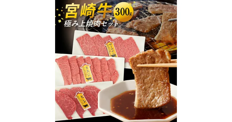 【ふるさと納税】宮崎牛 極み 上焼肉 セット ヒレ サーロイン ミスジ 300g 黒毛和種 焼き肉 BBQ 贈り物 肉質等級 4等級以上 日本食肉格付協会 格付 地域団体商標 宮崎県 延岡市 レグセントジョイラー株式会社 お取り寄せ 送料無料