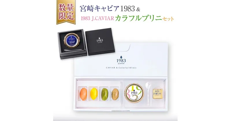 【ふるさと納税】数量限定 宮崎キャビア1983 20g & 1983J.CAVIAR カラフルブリニ セット 魚卵 魚介 魚貝 国産 おつまみ 世界三大珍味 黒いダイヤ 贅沢 高級 ご褒美 お祝い 記念日 お取り寄せ グルメ おすすめ パーティー オードブル 詰め合わせ 宮崎県 日南市 送料無料