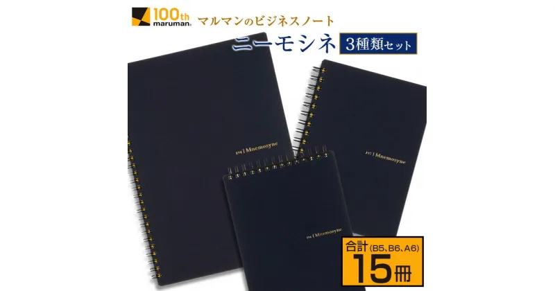 【ふるさと納税】マルマン ビジネス ノート ブランド ニーモシネ 3種類 セット B5 B6 A6 合計15冊 雑貨 文房具 メモ帳 イラスト スケッチブック らくがきちょう お絵かき帳 自由帳 日用品 国産 人気 おすすめ ロングセラー お取り寄せ 新学期 宮崎県 日南市 送料無料