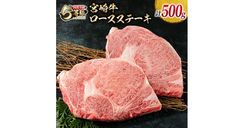 【ふるさと納税】数量限定 最高ランク 5等級 宮崎牛 ロース ステーキ 計500g 牛肉 ビーフ 黒毛和牛 ミヤチク 国産 ブランド牛 食品 おかず ディナー おすすめ 鉄板焼き 高級 贅沢 上質 ご褒美 お祝 記念日 イベント おもてなし お取り寄せ グルメ 宮崎県 日南市 送料無料