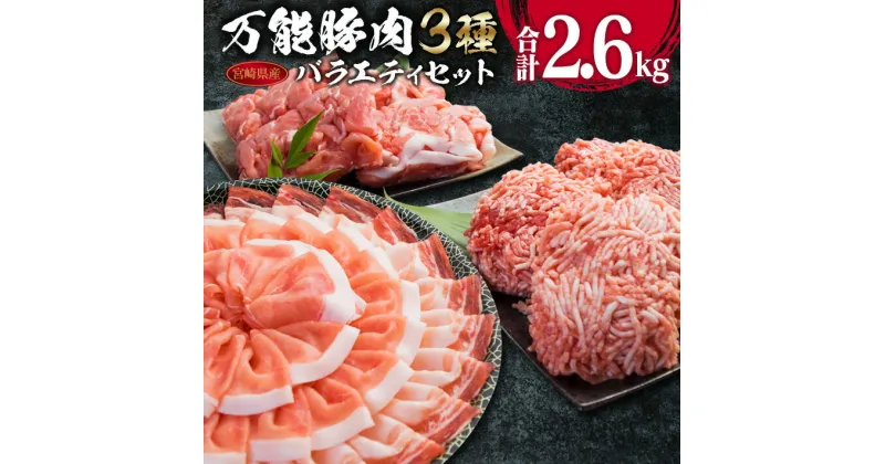 【ふるさと納税】万能 豚肉 3種 バラエティ セット 合計2.6kg 国産 ポーク 食品 豚ロース 豚バラ 豚切り落とし 豚ミンチ ひき肉 豚肩 おかず お弁当 おつまみ 焼肉 しゃぶしゃぶ ハンバーグ 炒め物 小分け お祝 パーティー お取り寄せ 詰め合わせ 宮崎県 日南市 送料無料