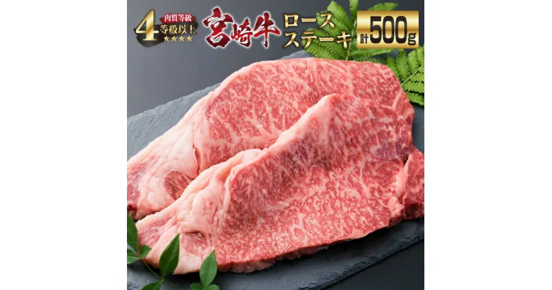 【ふるさと納税】宮崎牛 ロース ステーキ 計500g 牛肉 ビーフ 黒毛和牛 国産 ブランド牛 食品 人気 おすすめ 真空パック 小分け 個包装 おかず 焼肉 BBQ 鉄板焼き 高級 贅沢 ご褒美 ディナー お祝い 記念日 おもてなし お取り寄せ グルメ おすそ分け 宮崎県 日南市 送料無料