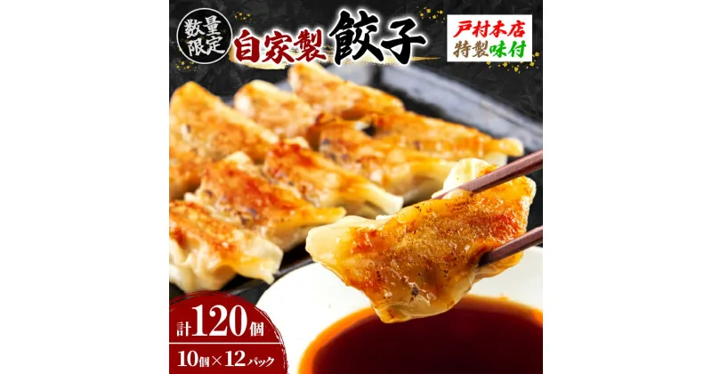 【ふるさと納税】焼くだけ!!簡単調理 数量限定 自家製 餃子 10個×12パック 計120個 簡単調理 惣菜 ぎょうざ 加工品 国産 おかず おつまみ お弁当 晩ご飯 お肉 小分け やみつき おすそ分け お取り寄せ お土産 贈り物 ギフト 宮崎県 日南市 送料無料 レビューキャンペーン