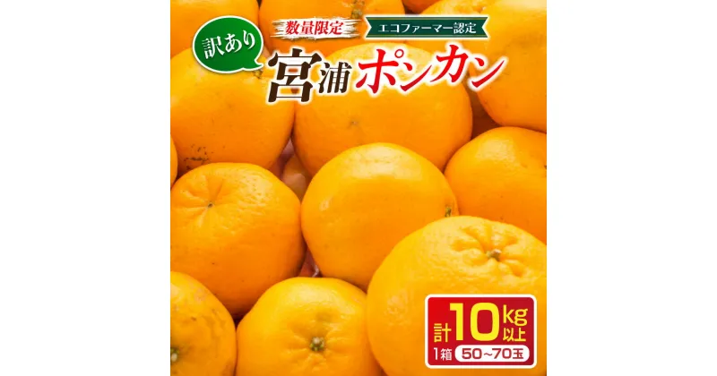 【ふるさと納税】先行予約 訳あり 数量限定 宮浦 ポンカン 計10kg以上 フルーツ 果物 くだもの 柑橘 みかん 国産 食品 期間限定 訳アリ おすすめ デザート おやつ フルーツサンド ジュース ご家庭用 ご自宅用 B品 おすそ分け 不揃い 傷 産地直送 宮崎県 日南市 送料無料