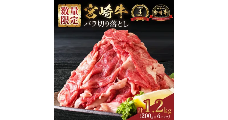 【ふるさと納税】小分けで便利 数量限定 4等級以上 宮崎牛 切り落とし 牛肉 計1.2kg 黒毛和牛 ビーフ ブランド牛 国産 食品 おかず すき焼き 牛丼 カレー シチュー 焼肉 お弁当 おつまみ ご褒美 お祝い 記念日 小分け おすすめ おすそ分け お取り寄せ 宮崎県 日南市 送料無料