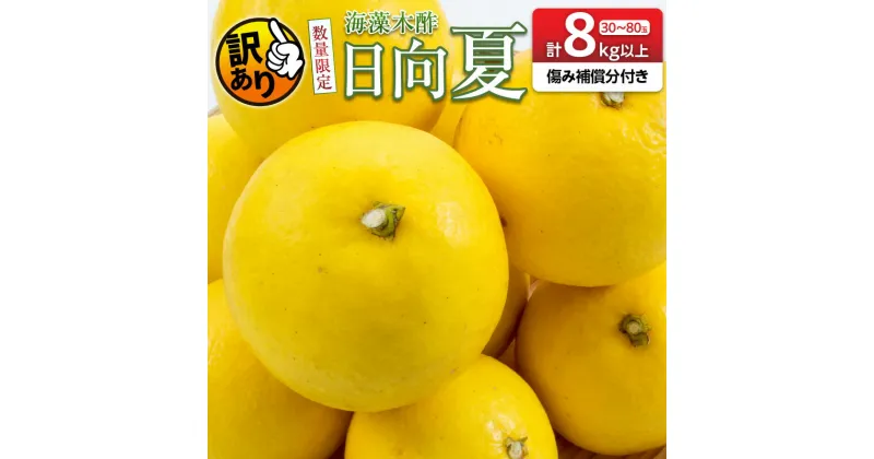 【ふるさと納税】先行予約 訳あり 数量限定 海藻木酢 日向夏 小夏 計8kg以上 傷み補償分付き 期間限定 フルーツ 果物 くだもの 柑橘 みかん 訳アリ 国産 食品 デザート おやつ おすそ分け おすすめ ご家庭用 ご自宅用 B品 傷 マーマレード 産地直送 宮崎県 日南市 送料無料